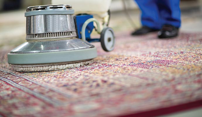A person cleaning rug using professional equipment