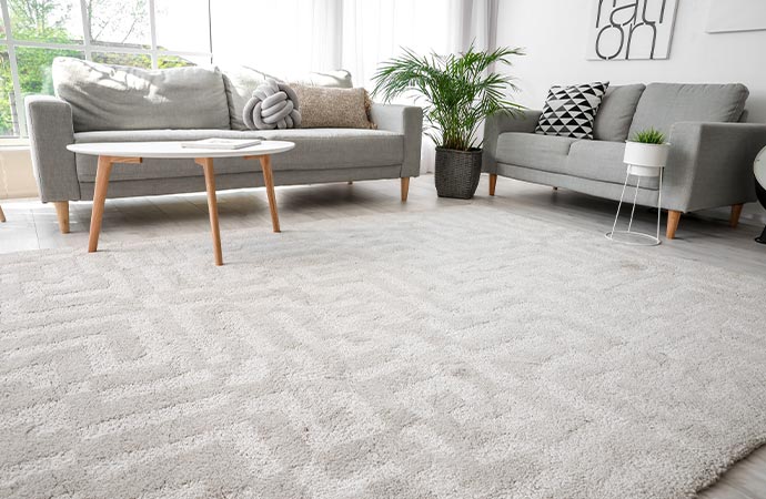 anti allergen rug treatment in Baltimore & Columbia