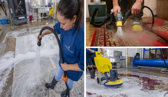 Collage of different types of effective rug cleaning methods