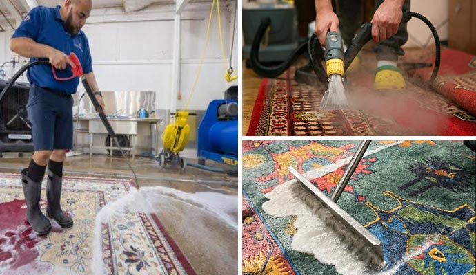 A collage of professional rug cleaning services