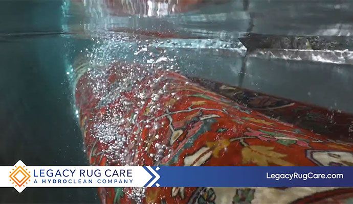 Commercial rug cleaning service