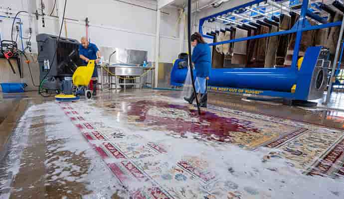 Rug Cleaning