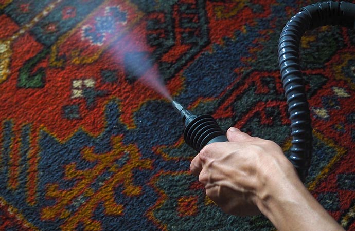 Rug cleaning by hot water extraction