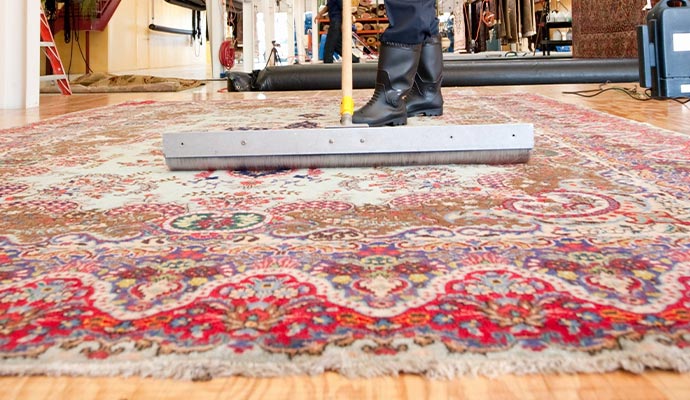 Rug Cleaning service