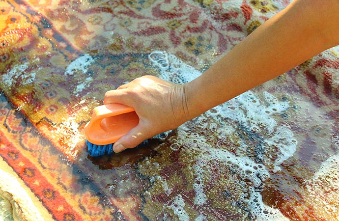 anti fungal rug cleaning