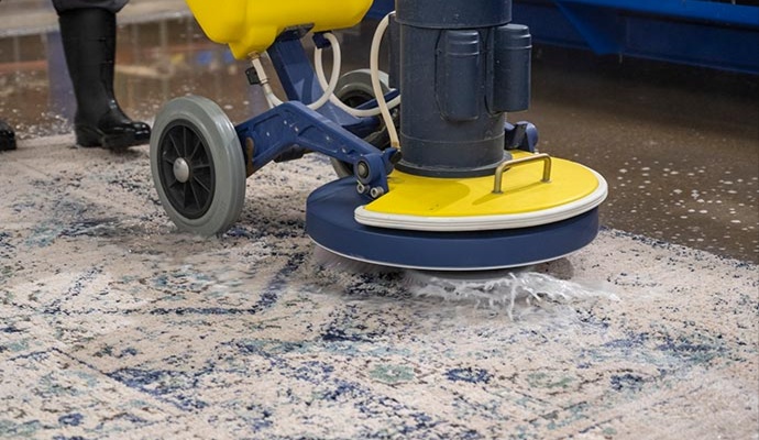 Professional deep cleaning a rug