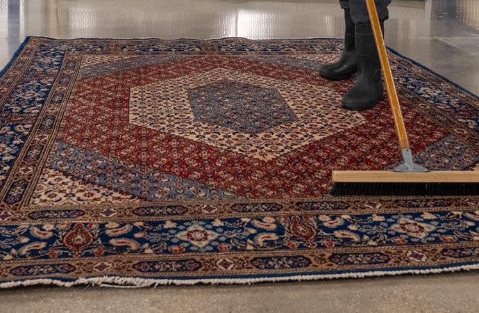 Professional Rug Cleaning & Protection