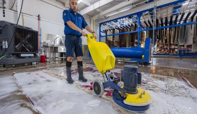 professional rug cleaning with equipment