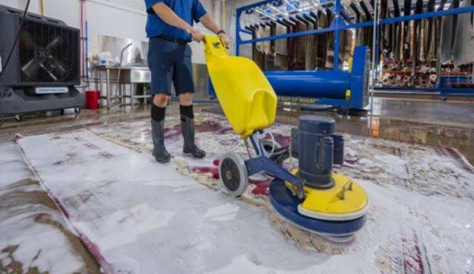 Professional rug deep cleaning service