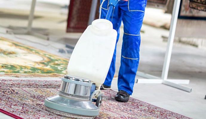 Skilled worker providing rug steam cleaning service with equipment