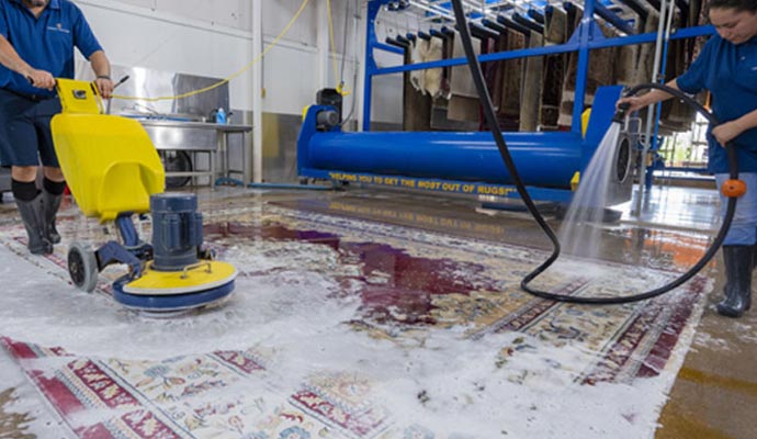 Professional team cleaning a rug with equipment