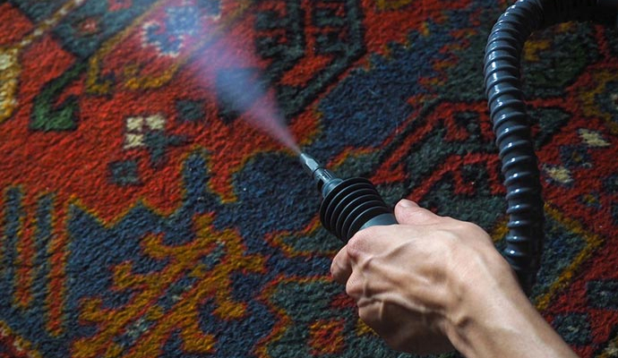 Expert using hot water extraction method to clean a rug