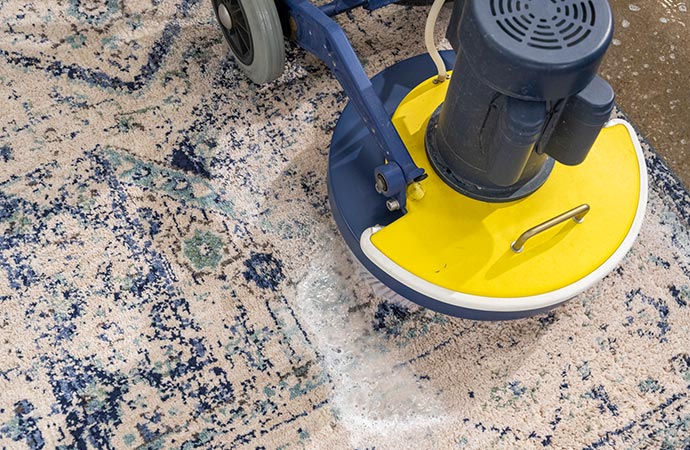 Professional worker cleaning rug