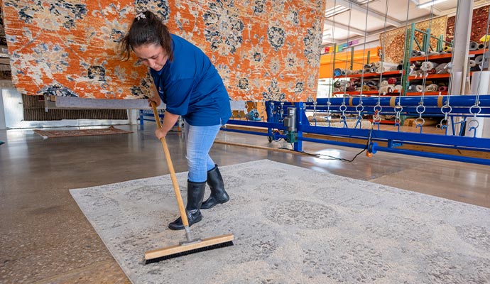 Professional rug cleaning service