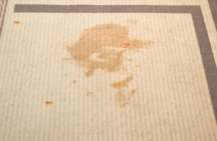 Visible rug stain on the rug
