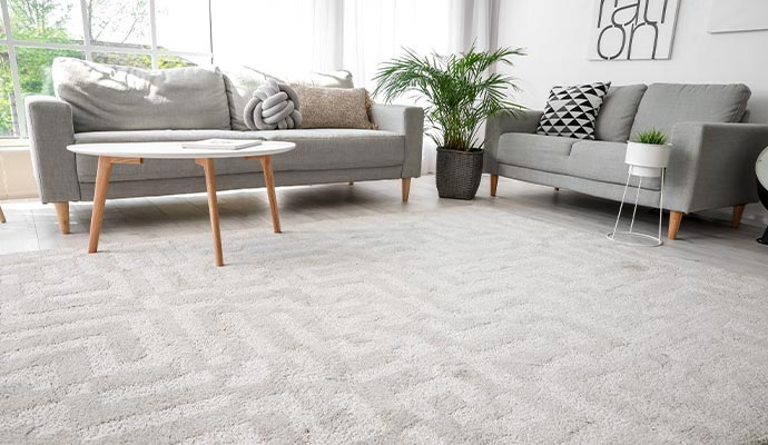 Rug in the modern living room
