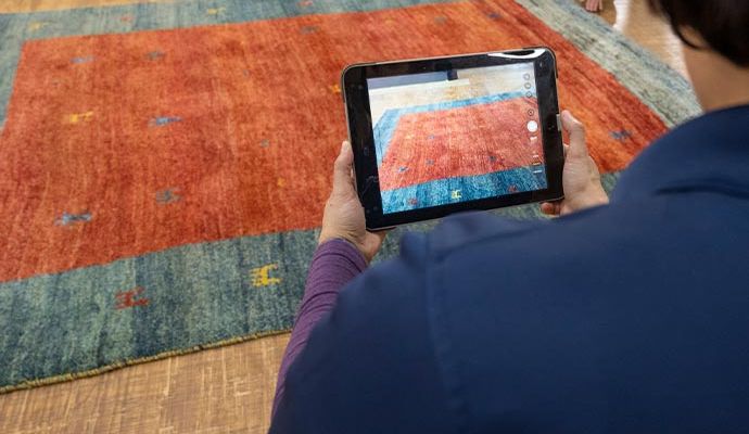 Rug inspection service using smart device