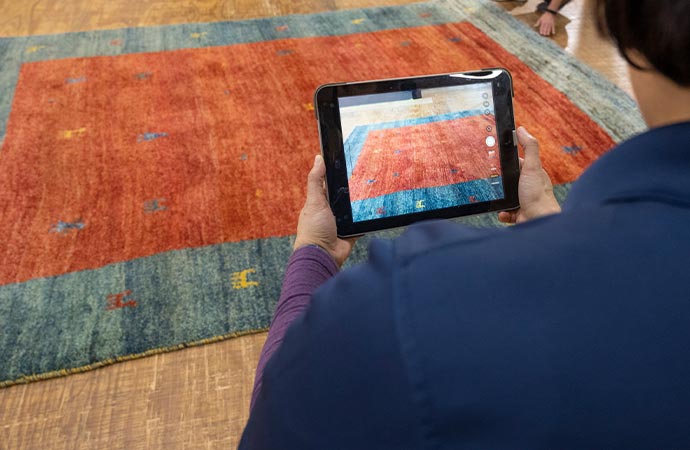 rug inspection with smart device