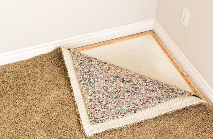 Rug pad in the carpet