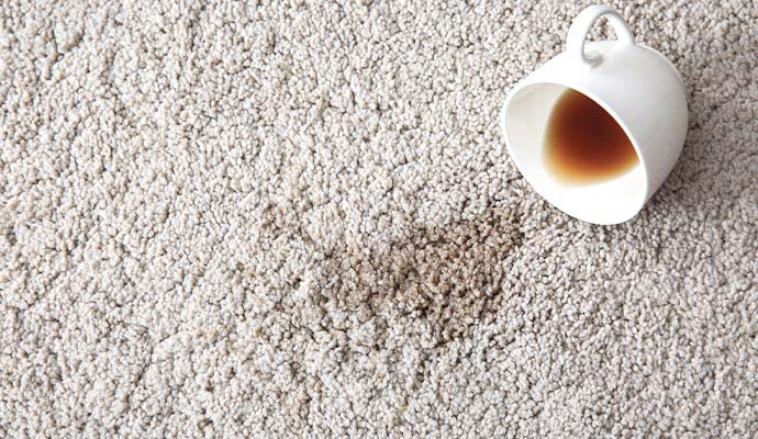 Coffee spilled from white mug onto rug pile