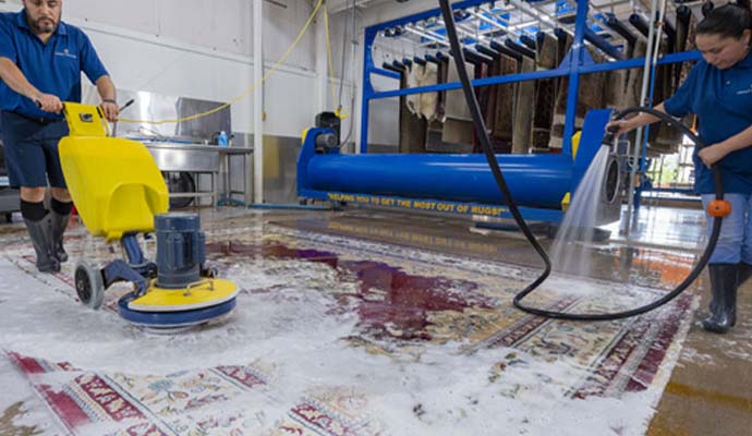 Technicians washing oriental rug with rotary machine and water hose
