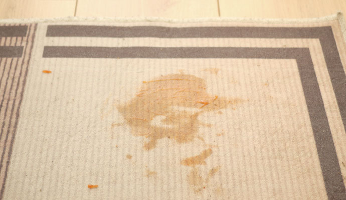 A visible food or liquid stain on a light-colored patterned area rug