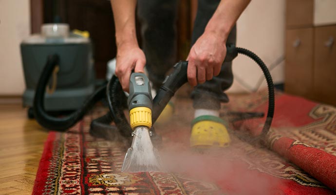 Professional steam cleaning service for household rug