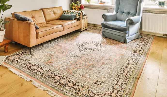 Traditional area rug in a bright living room with a sofa and armchair