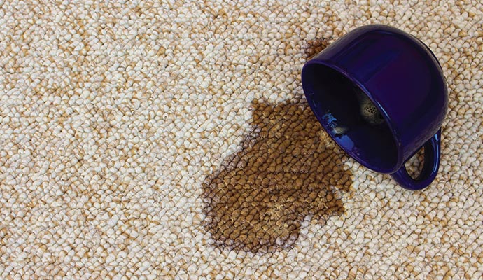 Visible stain on rug