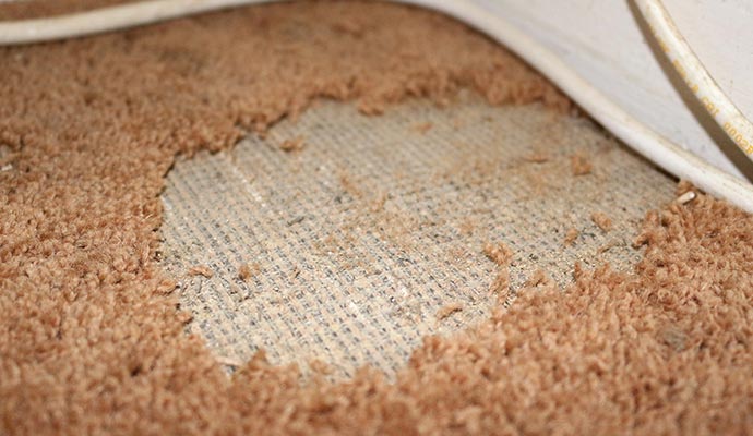 Worn out rug with exposed backing